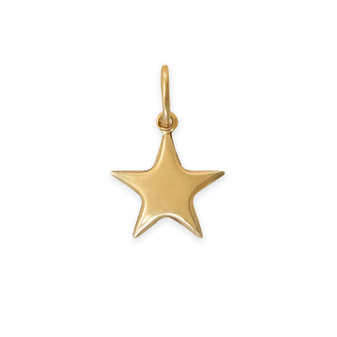 Silver or Gold Star Charm