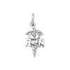 Registered Nurse Caduceus Charm